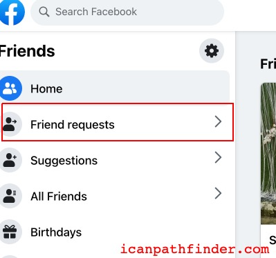 view facebook friend requests